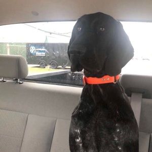 Meet your Posher, Corey